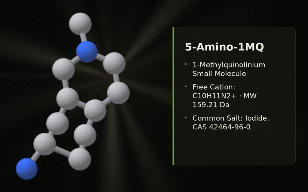 Complete 5-Amino-1MQ Guide: Mechanism, Evidence & Safety
